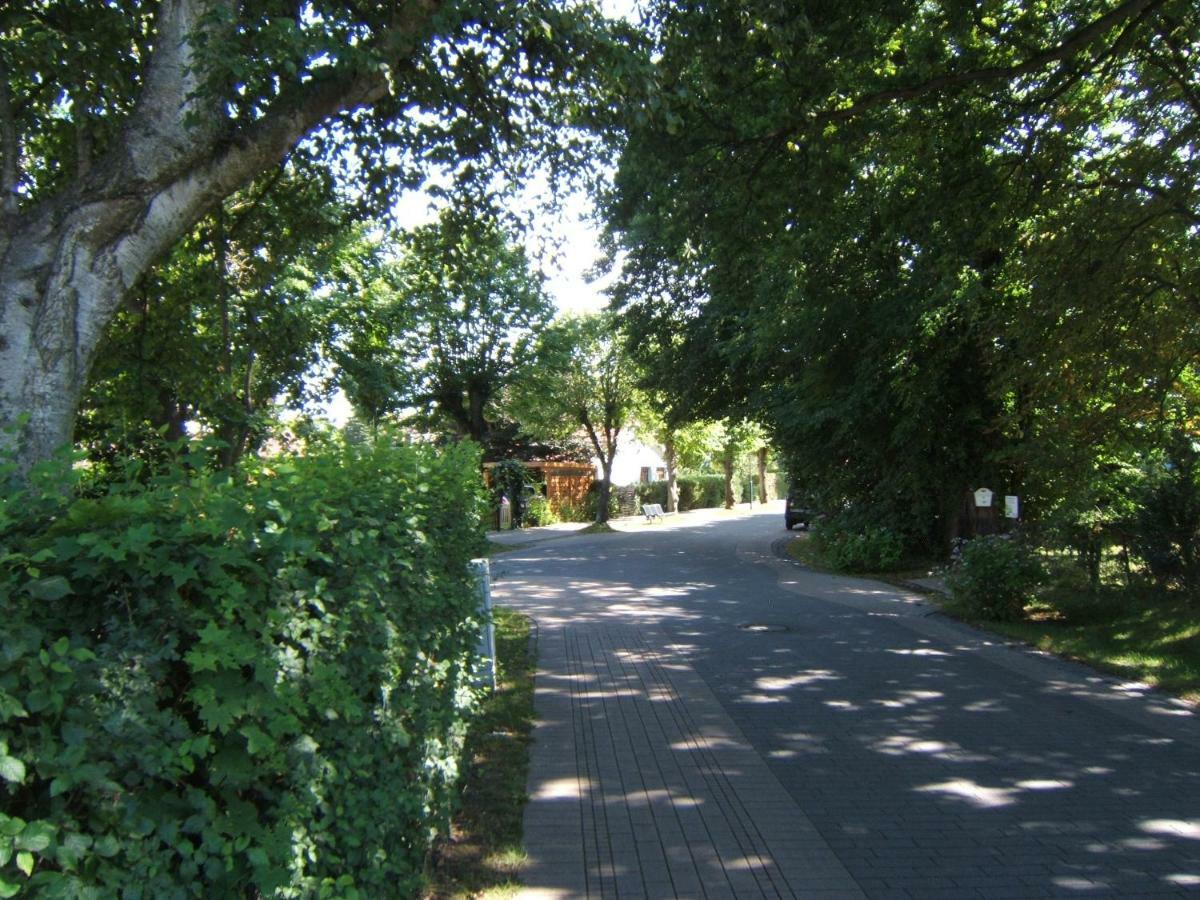 3-Zi-Ferienwohnung Piratennest 2 Zingst Buitenkant foto